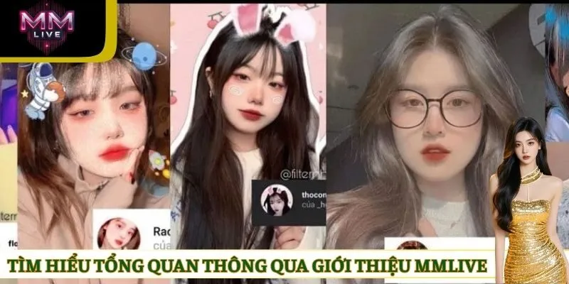 Tìm hiểu tổng quan thông qua giới thiệu MMLIVE